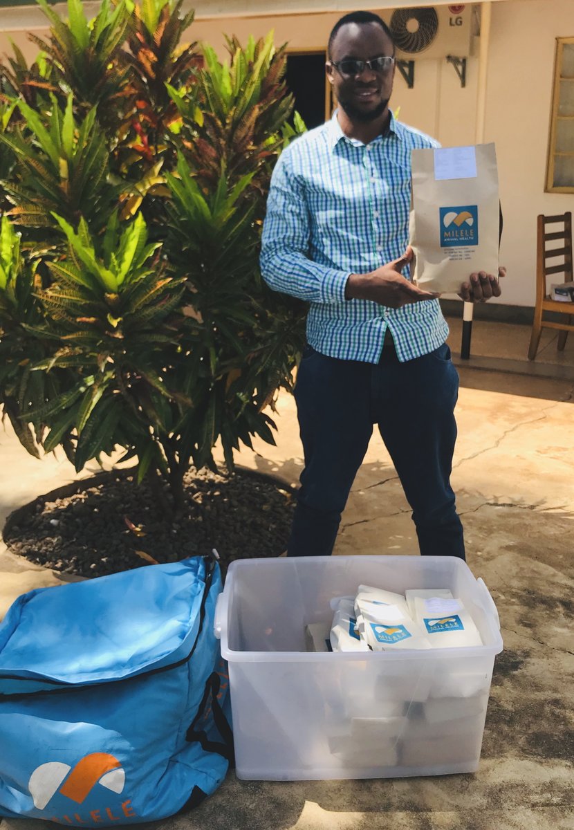 Milele_Health's tweet photo. Ruwaichi Chonjo runs our order fulfilment - picking and packing the chosen #animalhealth products in Milele branded #recyclable paper bags, ready for delivery to the villages. https://t.co/cahZWPgTvc