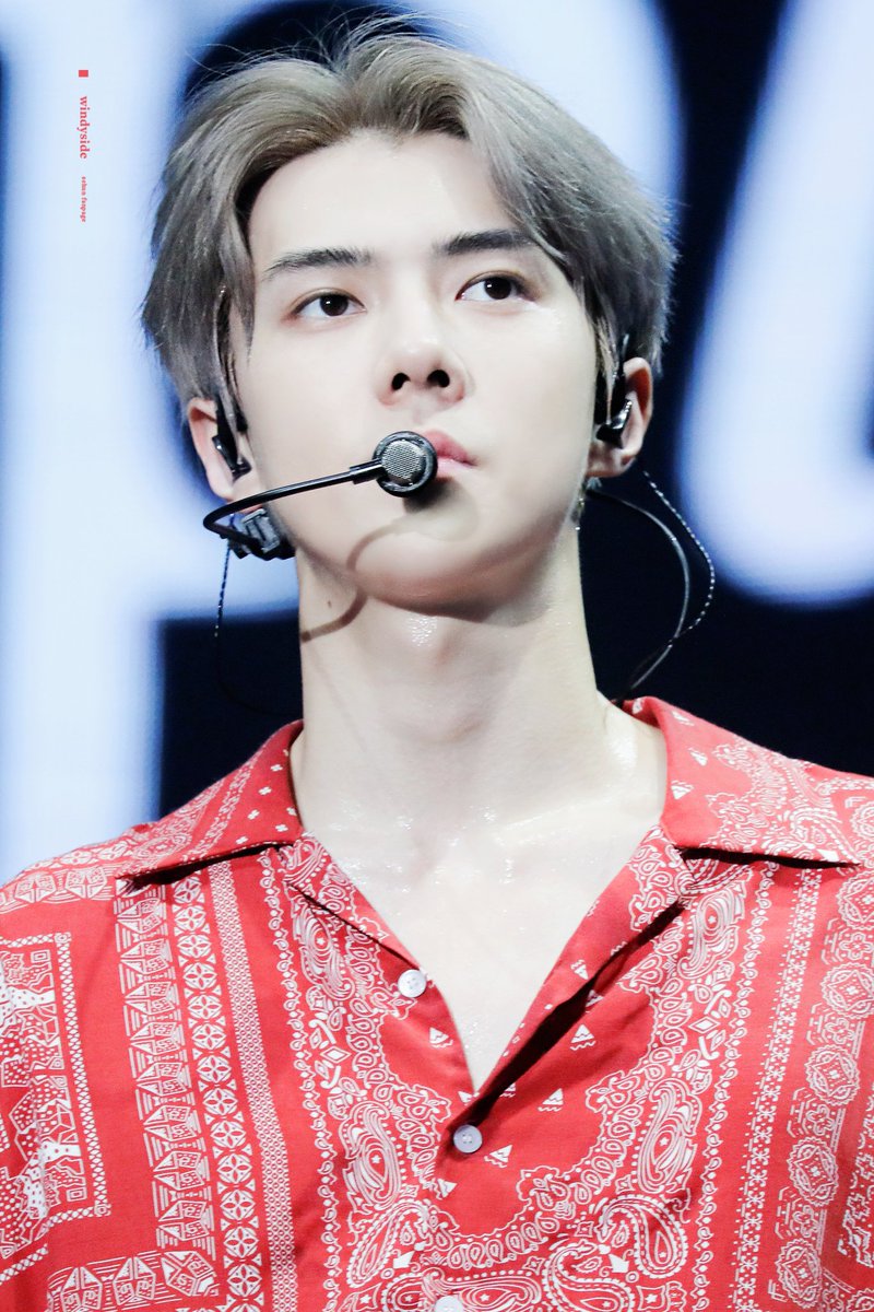 윈디사이드🚀WindySide tweet media