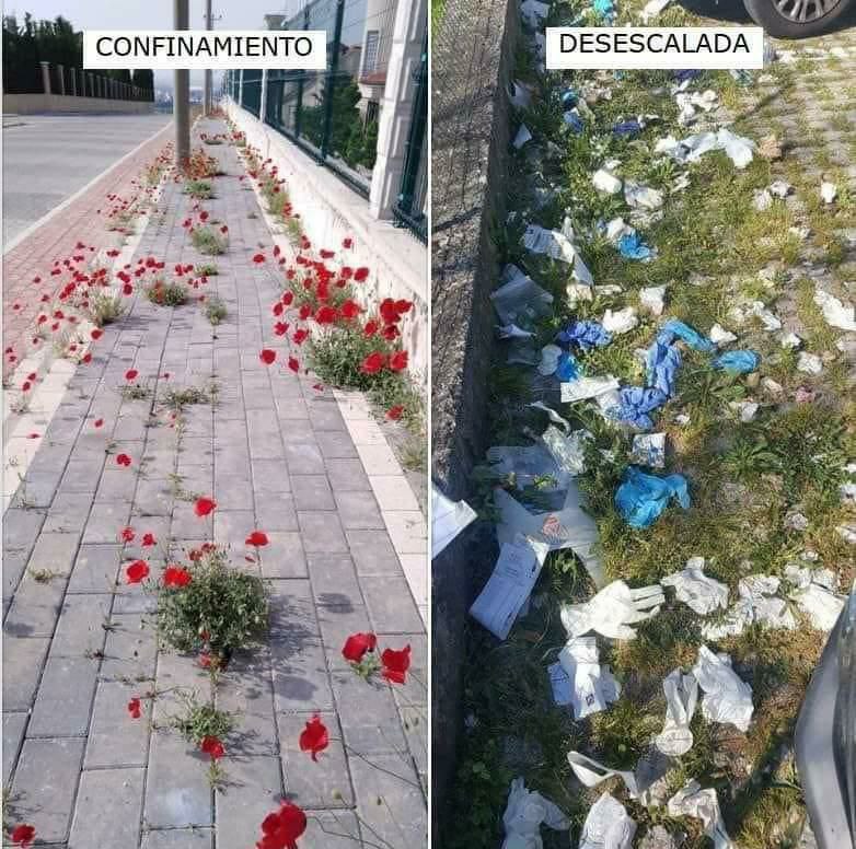 luiscbrinol's tweet image. Nota instructiva: si "accidentalmente" se te caen la mascarilla o los guantes al suelo puedes, con una sencilla flexión de rodillas, agacharte, recogerlos y tirarlos a la basura. Gracias.