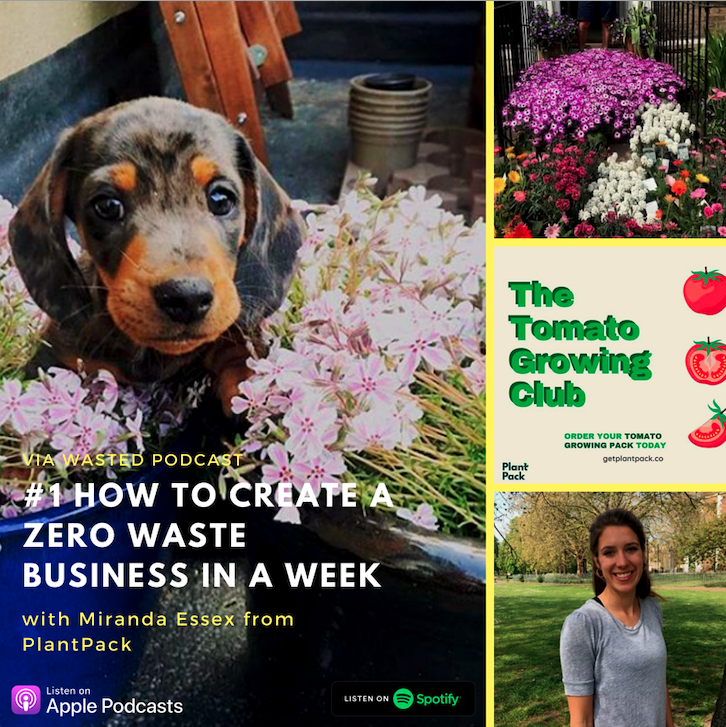 firstmile's tweet photo. If you want to hear how Miranda Essex set up a #zerowaste business in a week, head to our Wasted Podcast🎙
Miranda tells us all about saving plants from waste thanks to her amazing zero-waste business #PlantPack 🌸

https://t.co/VVDh6bJ2Mk

https://t.co/qzT1hfXUrP https://t.co/Na7jXe2ci0