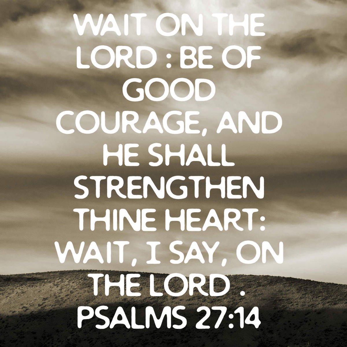 GailCook1's tweet image. Wait on the Lord : be of good courage, and he shall strengthen thine heart: wait, I say, on the Lord .
Psalms 27:14 KJV
bible.com/bible/1/psa.27…