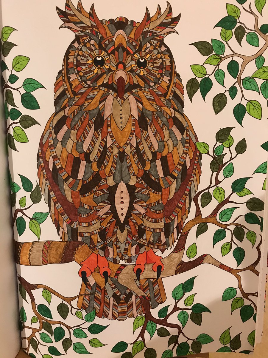 CottageCalm's tweet image. Owl 🦉 @STABILOUK @STAEMars @STAEDTLERNA #colour #calm #Mindfulness