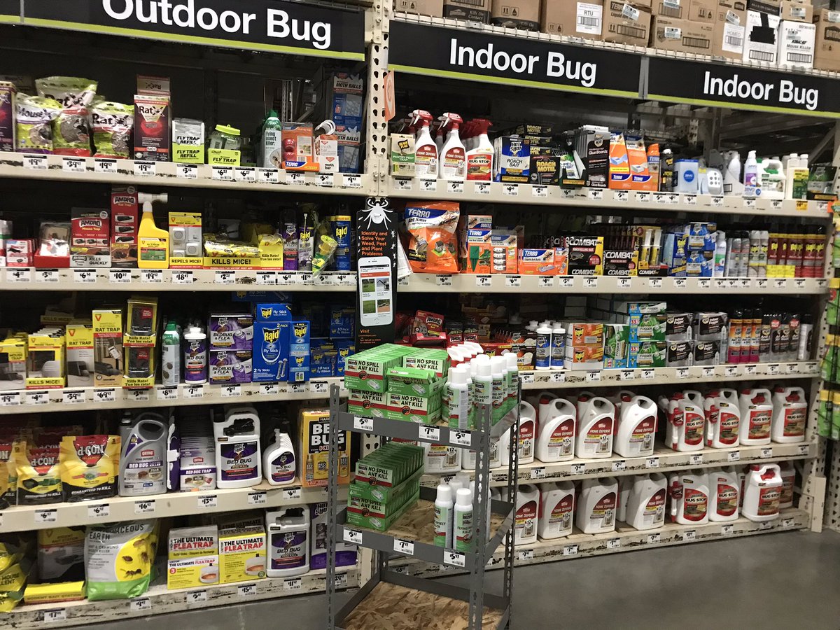 hammertime4705's tweet photo. Closing ASM @baysidekapowski and the freight team did a great job getting the store ready for the weekend! #clearaisles #packeddown #freighteam #greatstart https://t.co/TYuOFZuAlt