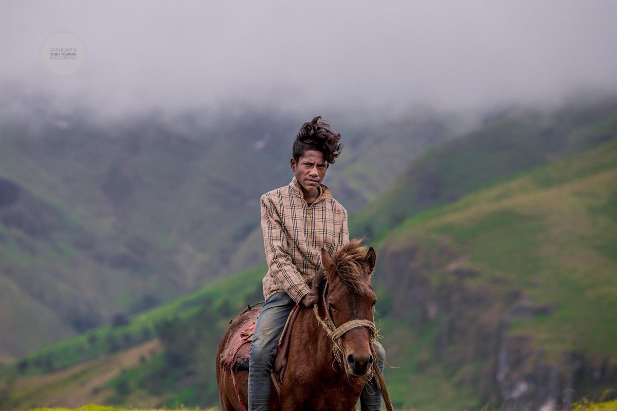Dili_Matt's tweet photo. ‘With a touch of Timor pony’ #Letefoho #TimorLeste https://t.co/A1tfcW0zQk