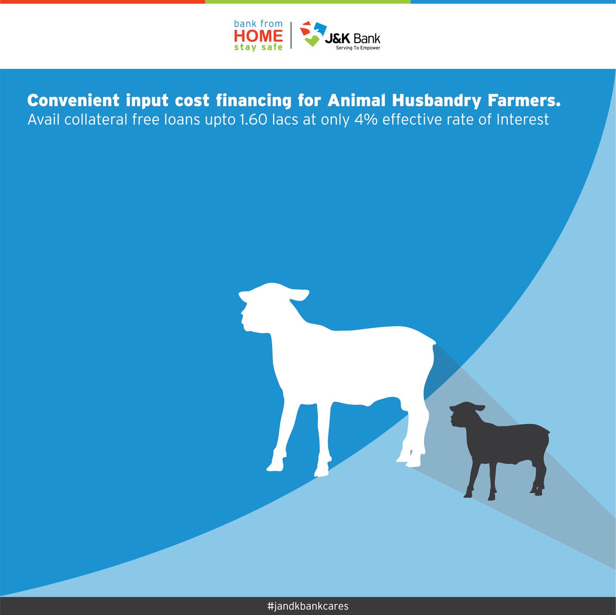 JandKBank's tweet photo. Convinient and hassle-free finance for Animal Husbandry farmers to meet their working capital requirements at just 4%* effective rate of interest upto Rs 2 lacs under J&amp;K Bank's Kisan Credit Card (KCC) scheme. 

No guarantor/ mortgage required upto 1.60 lacs https://t.co/ATXadhyCOI