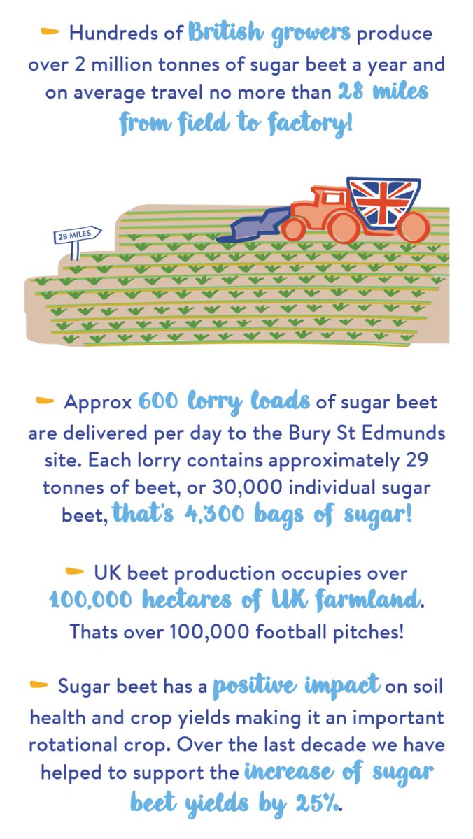 More widely, a 2017 poll said 60% of Brits didn't know we grew sugar in this country.Despite Silver Spoon sugar being the best selling brand since 1978. Homegrown sugar is sustainable, ethical and efficient - we can now grow more sugar per acre in Norfolk than in Brasil. /10