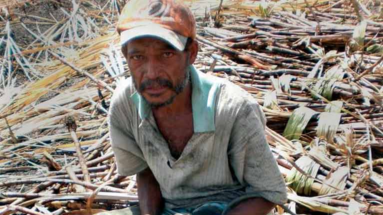 What's wrong with cane plantations now slavery is long since abolished?Firstly, there remain some appalling labour practices & in some regimes large cane mills exploit small cane farmers and keep them in penury.Migrant workers abound & wages are low /12 http://www.ipsnews.net/2014/04/face-slave-labour-changing-brazil/