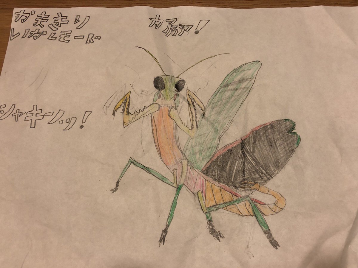 カマキリ先生に憧れて、オオカマキリの威嚇モードを描いた息子7歳。
昆虫の話をするときはカマキリ先生の口調になる。香川照之です、と言って解説を始める。
#カマキリ先生　#オオカマキリ　#香川照之