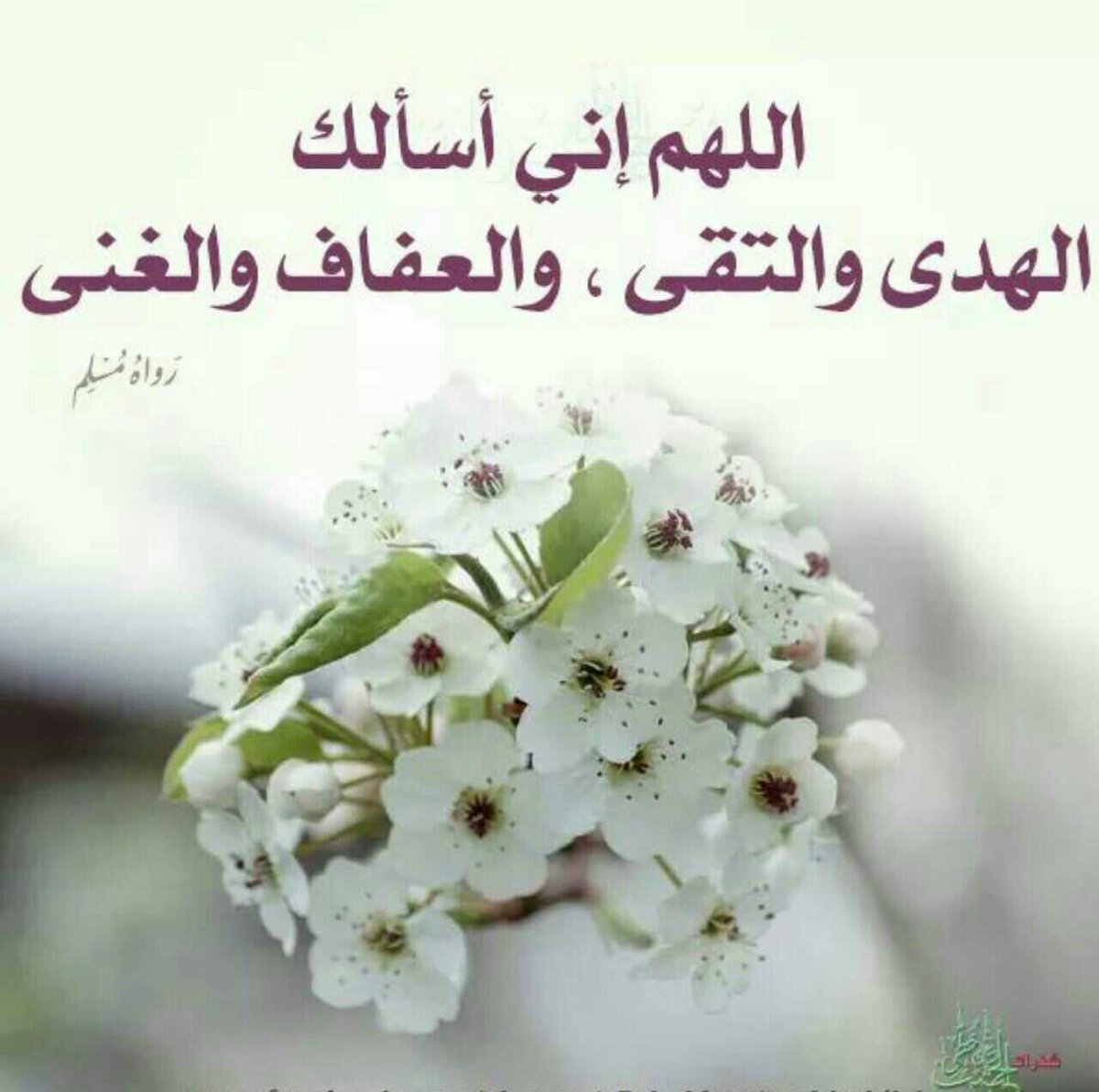MA_Al_Sahli's tweet photo. دعاء جميل جمع الخير كله

عَن ابنِ مسْعُودٍ رضي الله عن��، أَنَّ النَّبِيَّ ﷺ كَانَ يَقُولُ: "اللَّهُمَّ إِنِي أَسْأَلُكَ الهُدَى، وَالتُّقَى، وَالعفَافَ، والغنَى" رواهُ مُسْلِمٌ. https://t.co/bNDgs0tfkG