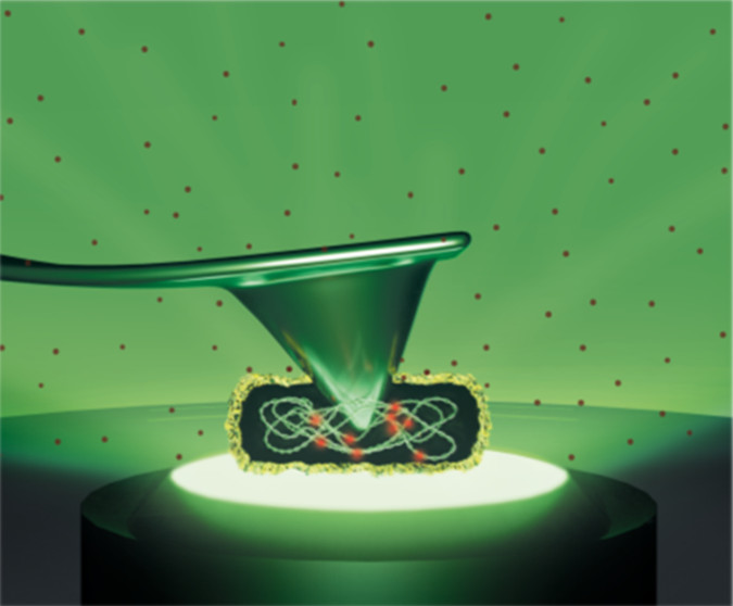 nanotrac's tweet photo. [ASAP] Mechanically Induced Bacterial Death Imaged in Real Time: A Simultaneous Nanoindentation and Fluorescence Microscopy Study https://t.co/IzciEGMpbe Via @ACS_AMI #ACSAppliedMaterialsAndInterfaces #InterdisciplinaryCommunity #ScienceJournal https://t.co/wNkuzABqdo