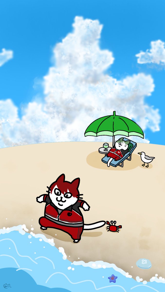 beach umbrella cloud cat outdoors day ocean  illustration images