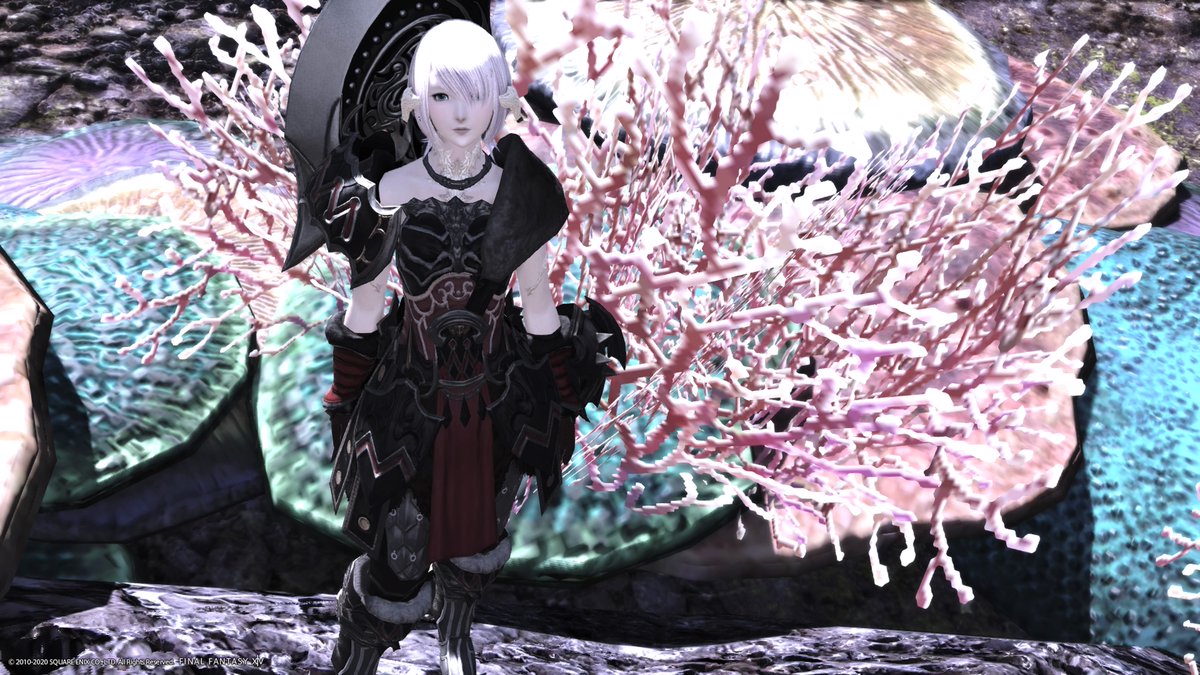 Laylap06's tweet photo. 戦士の60のジョブクエでAF頂きました!肩が出ててかわいくカッコいい・・・ #GPOSERS #FF14 #ffxivsnaps #ingamecosplay #Aura #アウラ https://t.co/PVgOGZ8Y1x