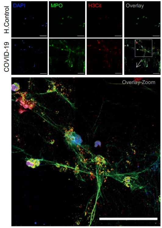 Jason S Knight tweet media