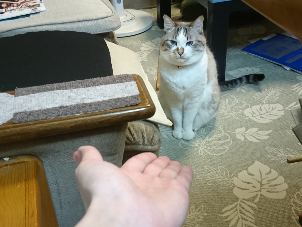 まろすけ🎠⚔️🪩 (@su6u6zu) / Posts / X