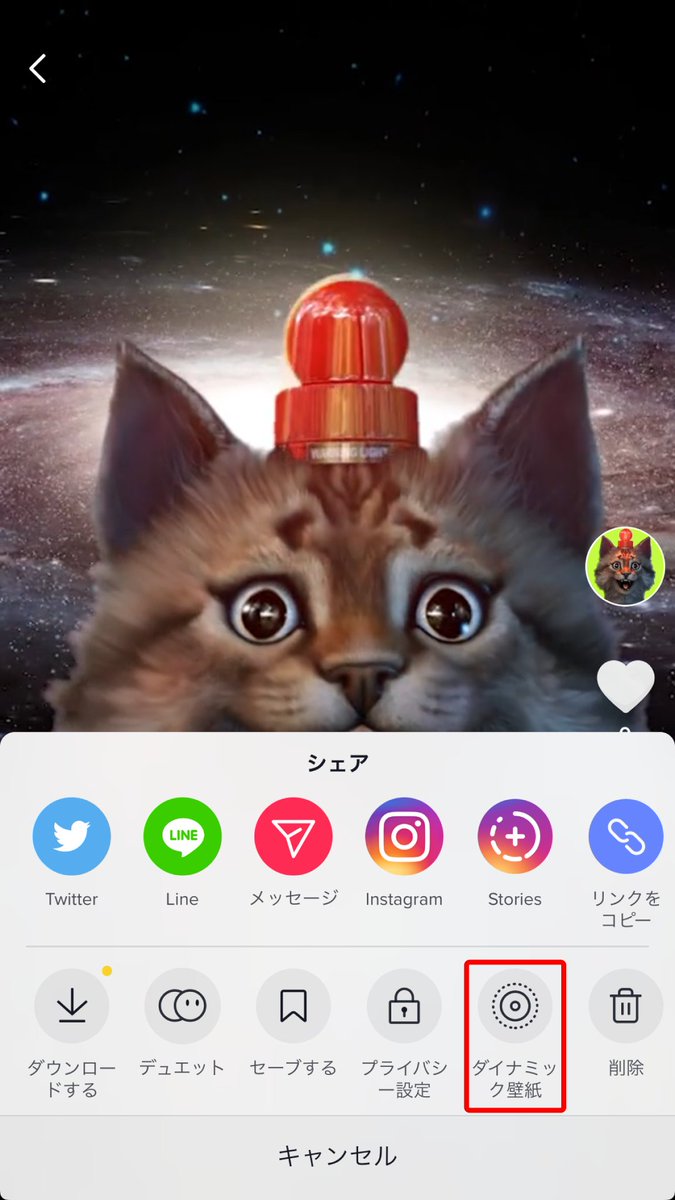 クソゲーパトロール猫 Youtube登録者1000人到達ありがとうござる いつも応援してくださる皆様のおかげです 以下 約束の記念品をお納めください パト猫スマホ壁紙 T Co 541petwzaz ダイナミックギャラクシー壁紙 T Co クソゲーパトロール猫 Youtube登録者1000人到達ありがとうござる いつも応援してくださる皆様のおかげです 以下 約束の記念品をお納めください パト猫スマホ壁紙 T Co 541petwzaz ダイナミックギャラクシー壁紙 T Co