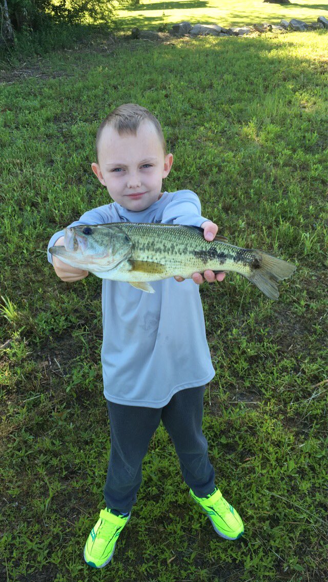 AndyWadeKY's tweet image. My nephew caught this pig this morning on a Nikko Hellgrammite #BassFishing #NikkoBaits #Nephew 🎣