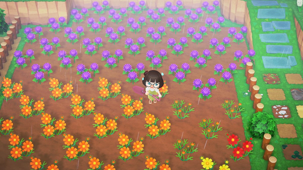 ilexes's tweet photo. The cute flower garden versus the process of producing it https://t.co/MGJSPx6rlJ