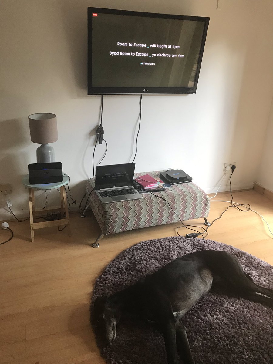 KMJwriter's tweet photo. #zeta #greyhound is ready for #roomtoescape @NTWtweets @bbcarts @TheatrGenCymru #theatredogs https://t.co/KP60j67e0x