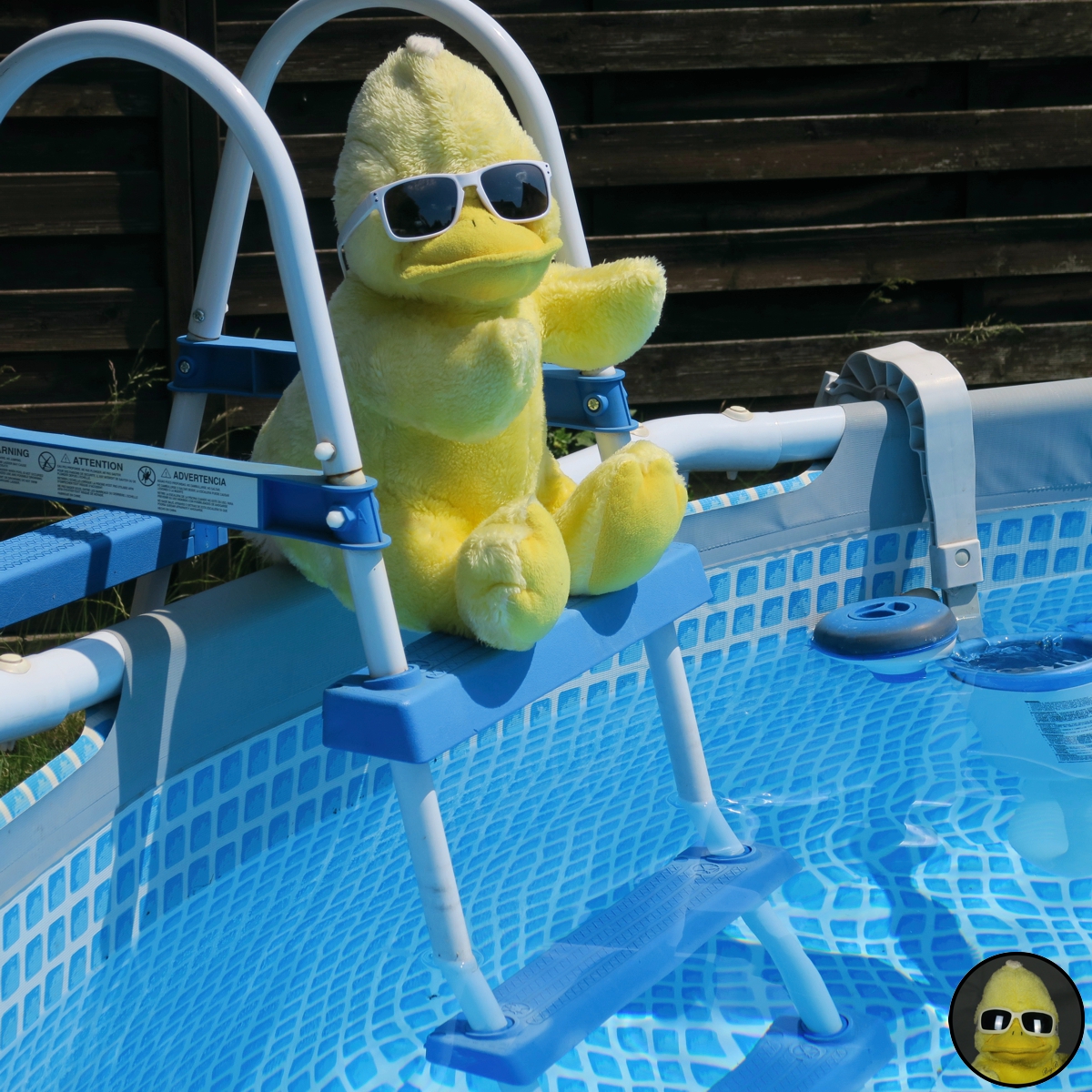 BigBirdBeckum's tweet photo. Jetzt wird es ernst! Die #Poolsaison ist eröffnet! https://t.co/HW07zi6uGg