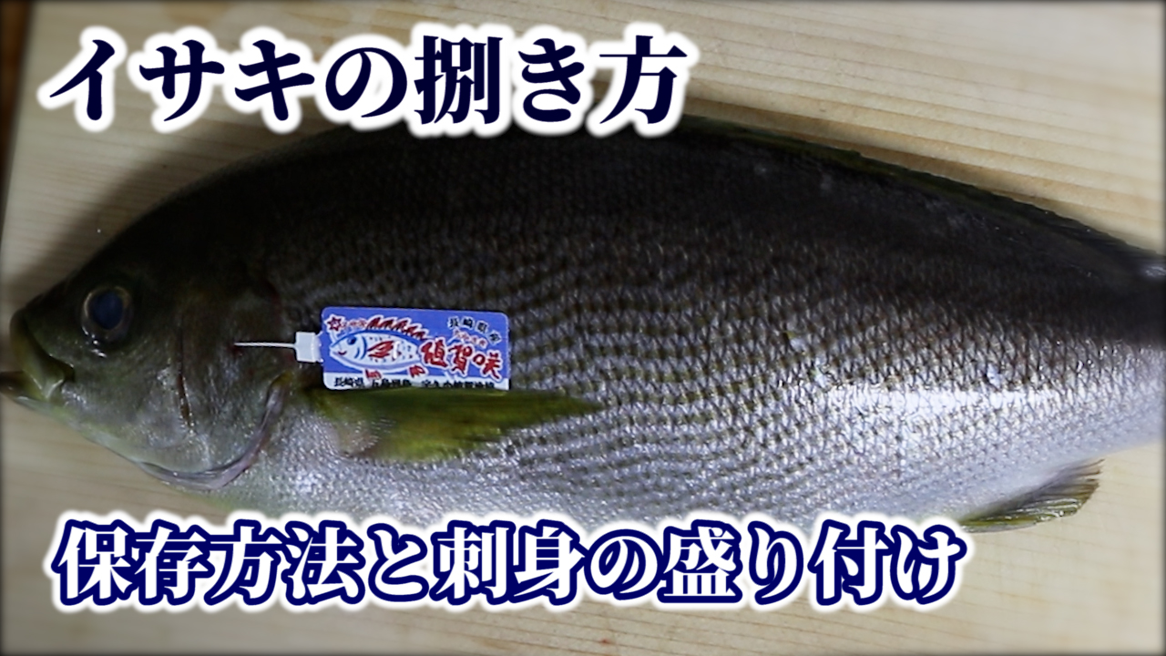 銀座渡利 イサキの捌き方をご紹介しました 捌いた後の保存方法や刺身の盛り付け方にも触れております Youtube 11分35秒 T Co Joy4amzqzl イサキ 捌き方 釣り 3枚おろし おうちごはん Twitter家庭料理部 料理好きな人と繋がりたい 料理