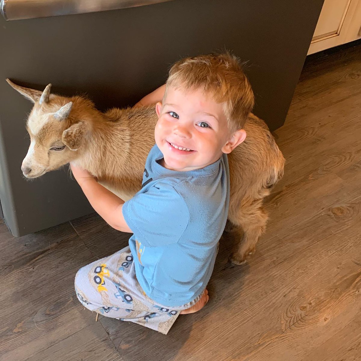 Shellie Bowling tweet media