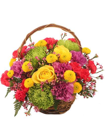 Saturday is a great day to have beautiful flowers in your home. Order now for delivery later today!

cameronsflowershop.com/product/ba0211…

#kwawesome #explorewr #saturdaythoughts #flowers