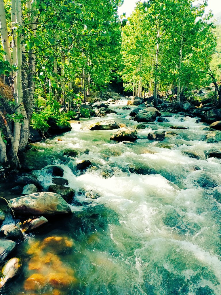 TalesPhotograp3's tweet photo. The thriving meadow alpine mountains ane the gushing clear water make mahu a must visit destination in banihal.The city epitomizes the beauty of jammu and kashmir.@SalmanNizami_ @JandKTourism @DaveZ_uk https://t.co/6qdzdZXQz3