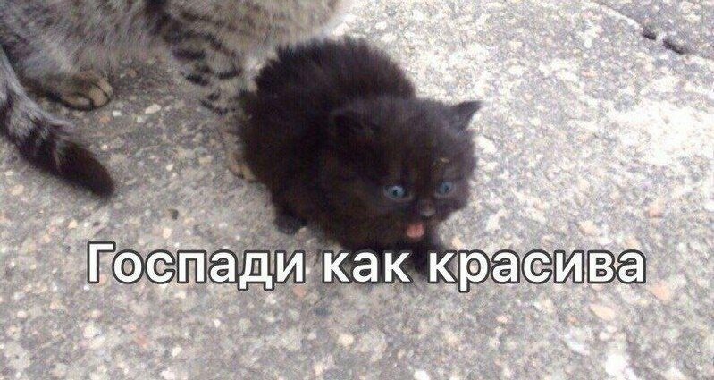 шутки про инвалидов черный юмор. когда нибудь это все станет твоим. папа где мама анекдот. смотрите сынок. аморальный мем.