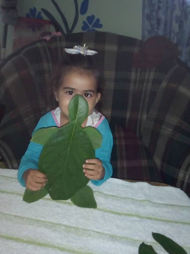 CEI Guasimos. Plan Pedagógico de Prevención y Protección Cada Familia una Escuela. Técnicas Plásticas productivas <a href="/clifpguasimos/">clifpguasimos</a> <a href="/guasimoscra/">Guásimos CRA</a> @cinicialtachira