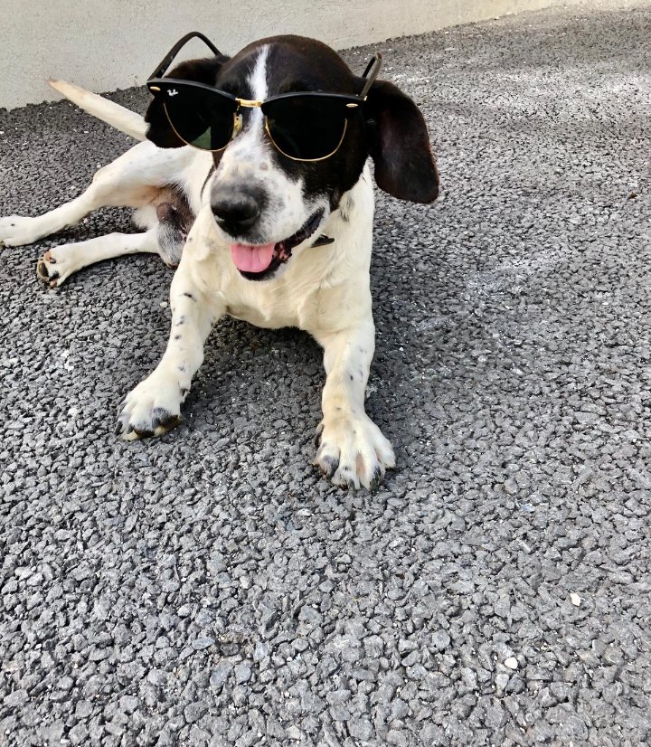 ☀️