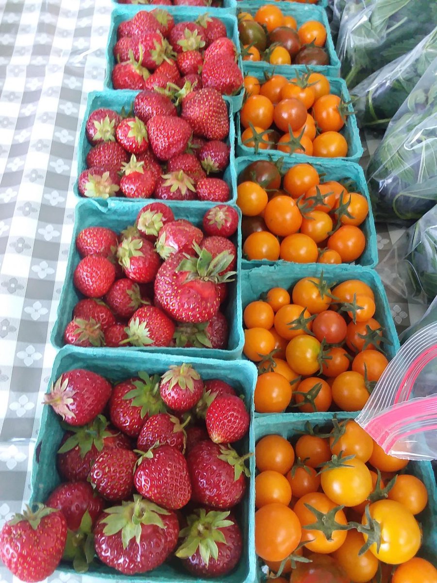 HFMNow's tweet photo. So much color at the market today! https://t.co/RZQ6pFIt5p