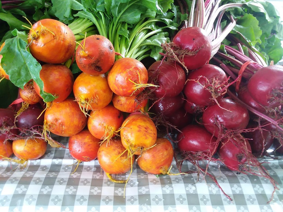 HFMNow's tweet photo. So much color at the market today! https://t.co/RZQ6pFIt5p
