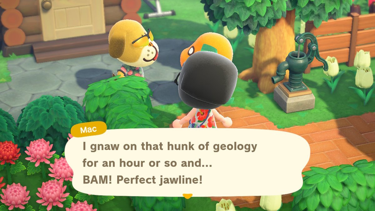 theuniquebeing's tweet photo. Mac & Biskit bff's pt 2 #acnhmac #acnhbiskit #AnimalCrossing #ACNH #NintendoSwitch https://t.co/rj76gI0P31