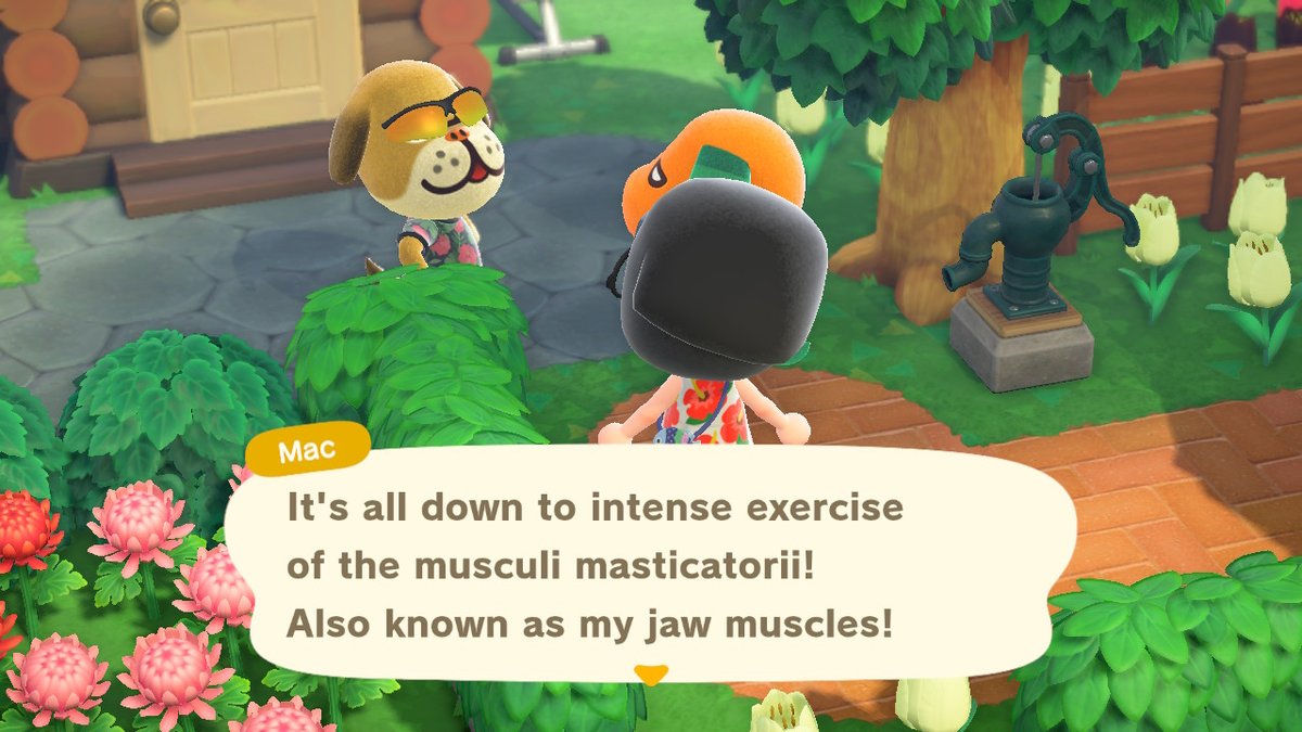 theuniquebeing's tweet photo. Mac & Biskit bff's pt 2 #acnhmac #acnhbiskit #AnimalCrossing #ACNH #NintendoSwitch https://t.co/rj76gI0P31