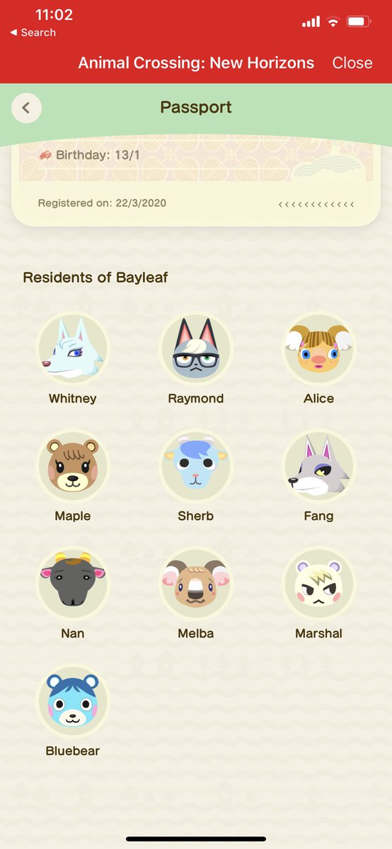 ACNHCon's tweet image. What bbys do we share 🥺🙈 #animalcrossing