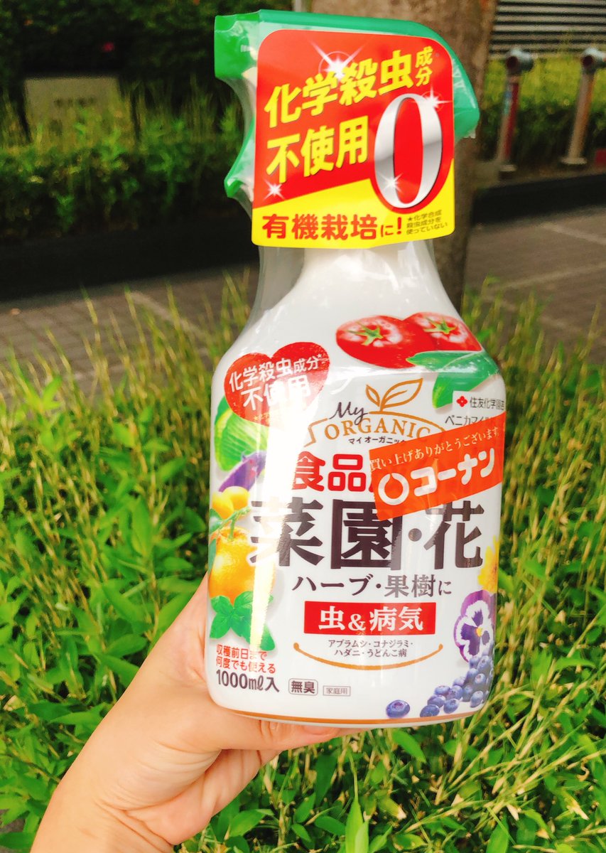 しばた さちこ ベランダのバジルちゃんに纏わりつく害虫が死んでくれない W ハダニは薬剤耐性強いらしいしなあ もっといかつい農薬使わなあかんのかなあ