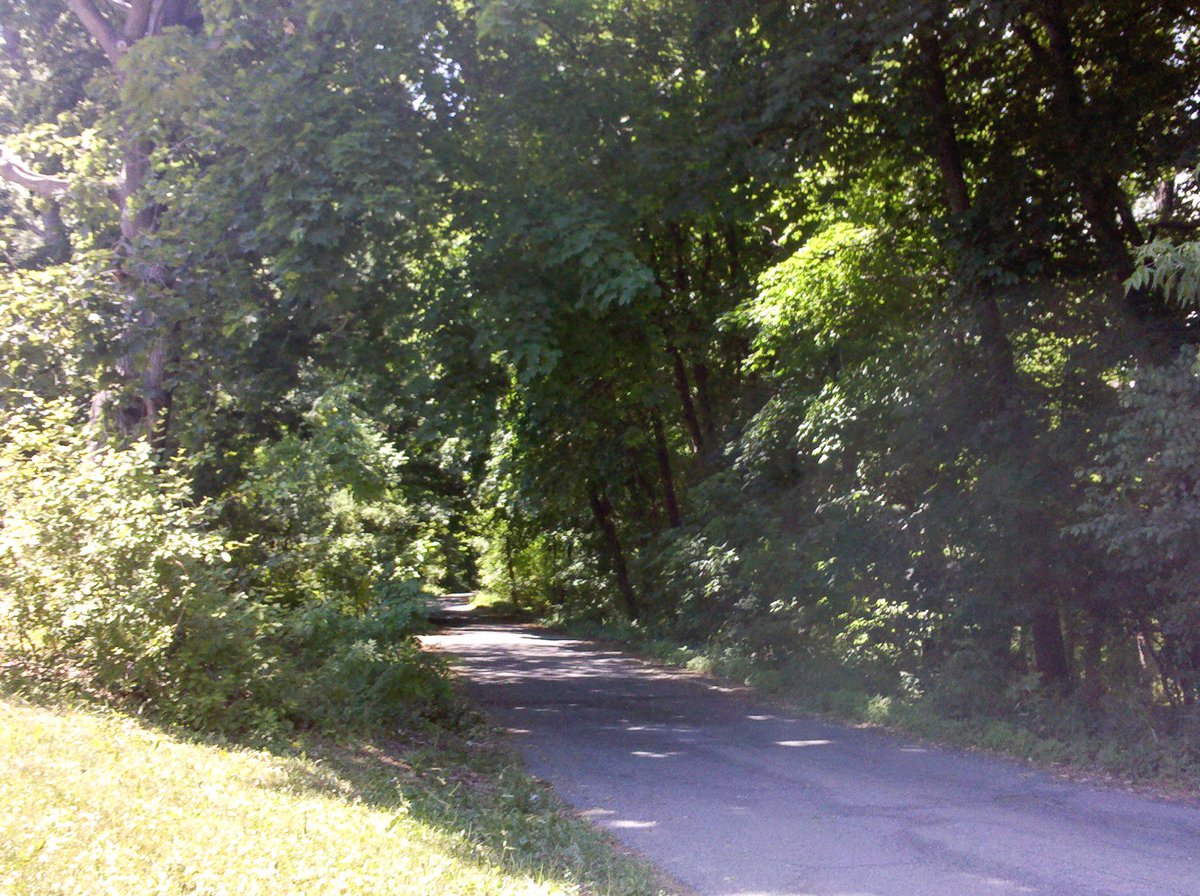 A couple more twists and turns and... it ends just as suddenly as it began. We're thrust back out into the boring 'ol suburbs, within city limits but right before it grows dense.