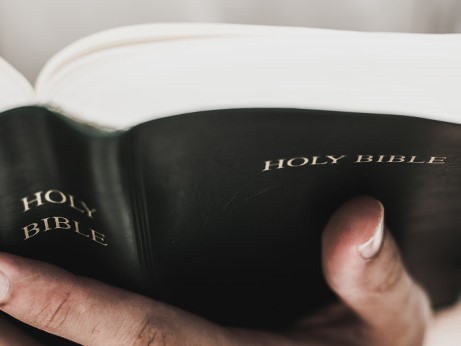 RalphLibuit's tweet image. If you have faith as small as a mustard seed, you can say to this mountain, &apos;move from here to there&apos; and it will move. Nothing will be impossible for you. - Matthew 17:20
Nothing is Impossible to our God. We feel fainted, weak, afraid and anxious but Be Still for God is with you