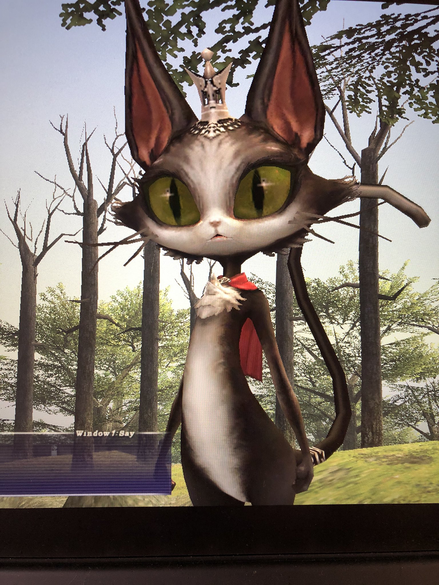 J ｰ し おかんです ちなみに うちの猫様4号は キャラがケット シーに似ているような気がします 見た目はちと違うけどw Ff11 T Co Zs79yh11m2 Twitter