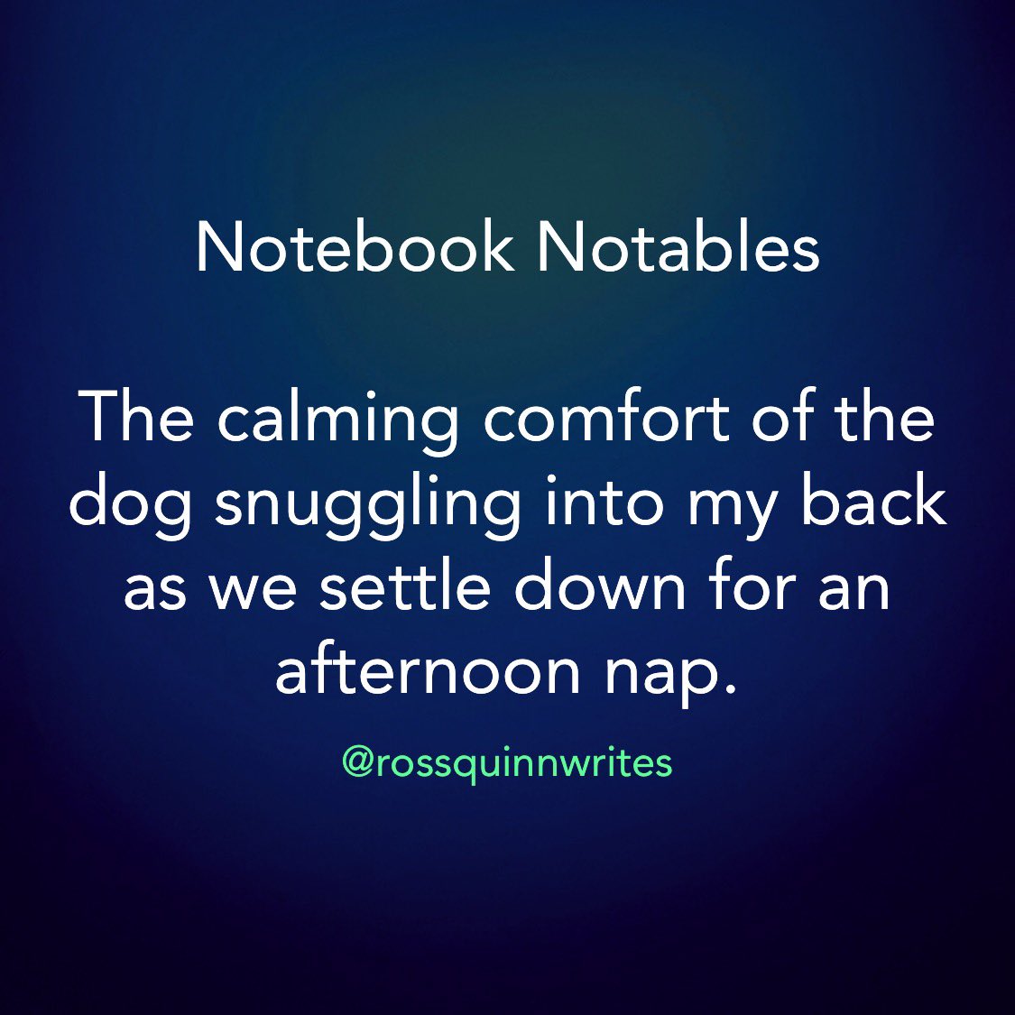 rossquinnwrites's tweet photo. Notebook Notables
#writing #writersnotebook #writingnotebook #writer #writersnotebooks #writersnotes #writingnotes #writerscommunity #write #writers #writersnetwork #writerslife #writingcommunity #writings #writinglife https://t.co/C1QsvqmqDp