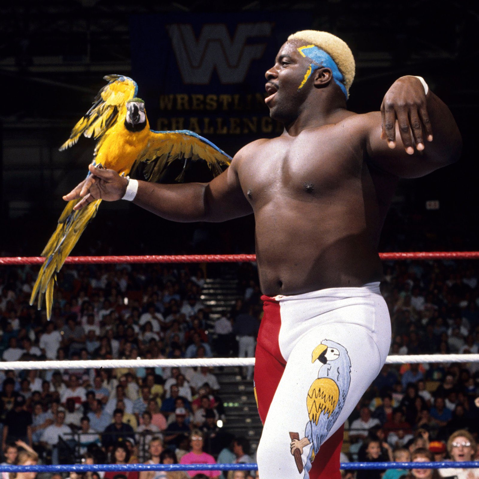 Happy birthday Koko B. Ware 