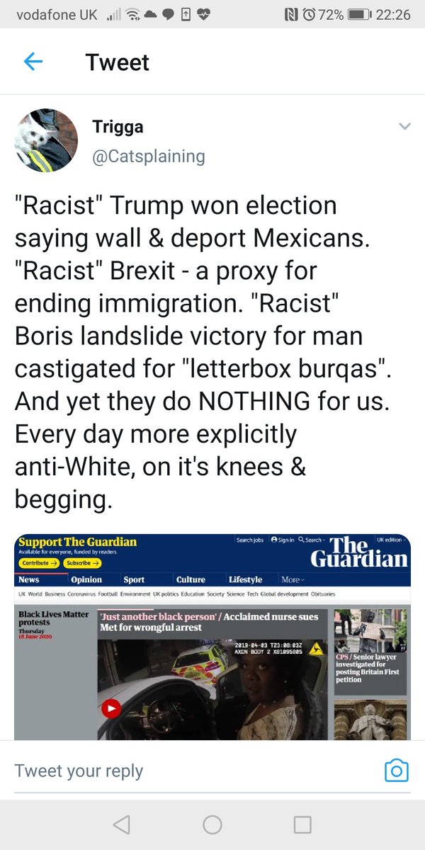 Everyday Racists *21. Trigga is especially nauseating; from complaining that Trump and Johnson aren't racist ENOUGH, to disparaging a black woman's appearance because of the blackness of her appearance, to...well, see his retweet for yourself, if you can stomach it