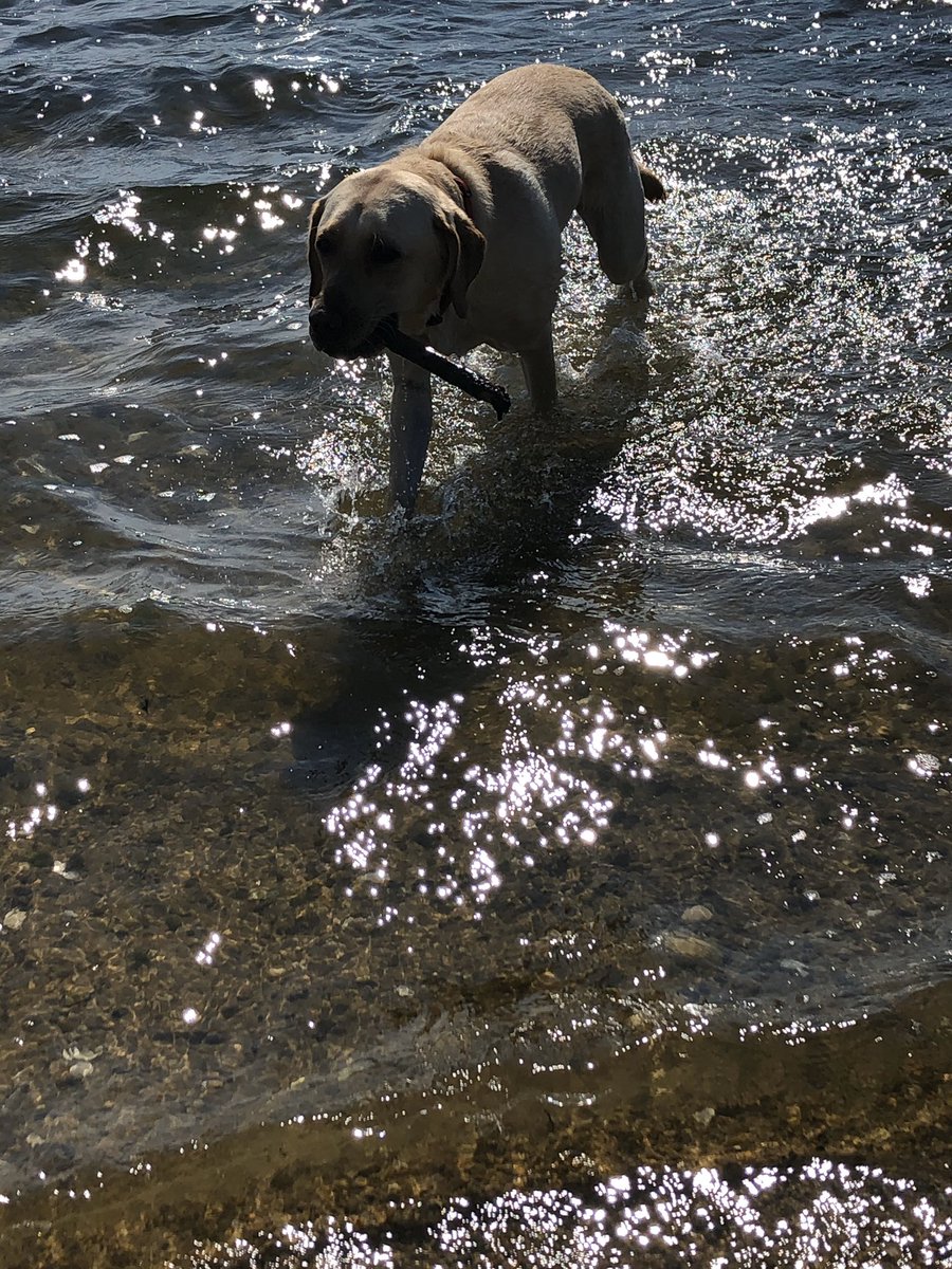 Took a little while getting used to the salty sticks but wasn’t long til I loved the ocean <a href="/MrsShielsAHS/">AHS Make-A-Wish club</a>