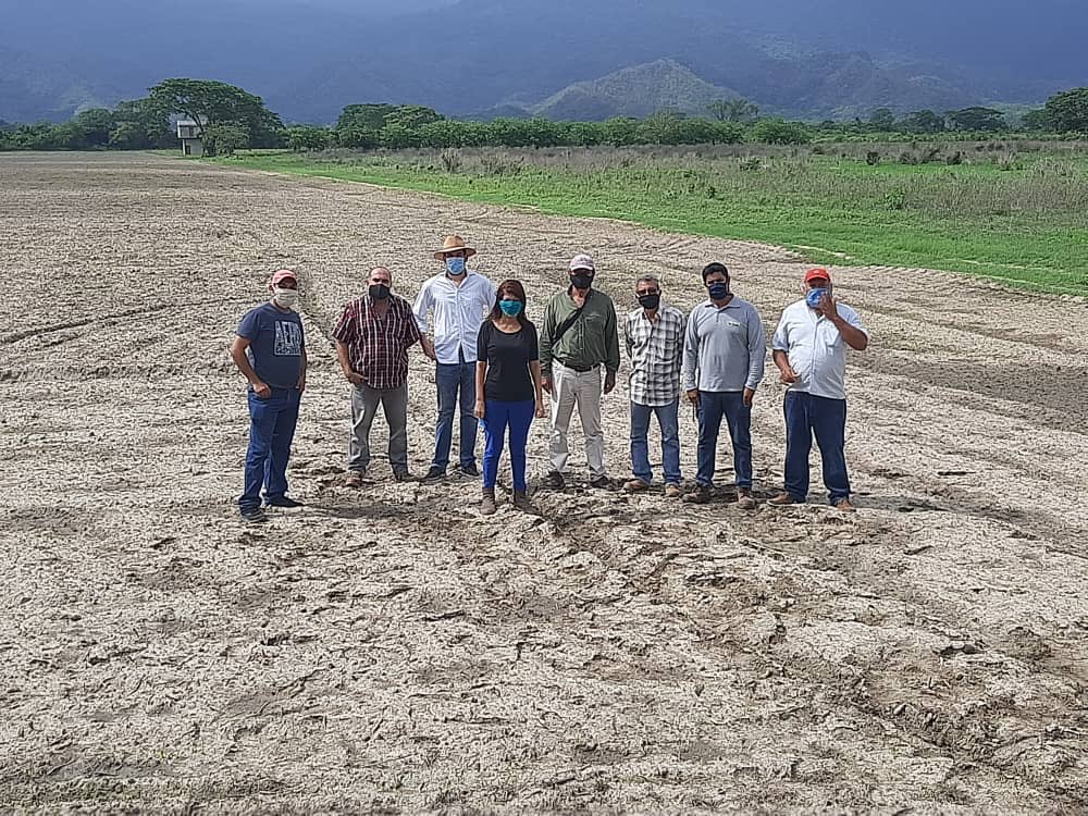 yaracuypuede's tweet photo. Queremos compartir este importante paso con todos ustedes 👏👏 esta semana se llevó a cabo la Prueba Técnica del Proyecto #SemiYa🌱en la Finca "La Torre" 🤝
Juntos, seguimos demostrando que #Yaracuypuede
#DANAC
#Proyectosemiya
#Iniciativaprivada https://t.co/NF8leRPNVW