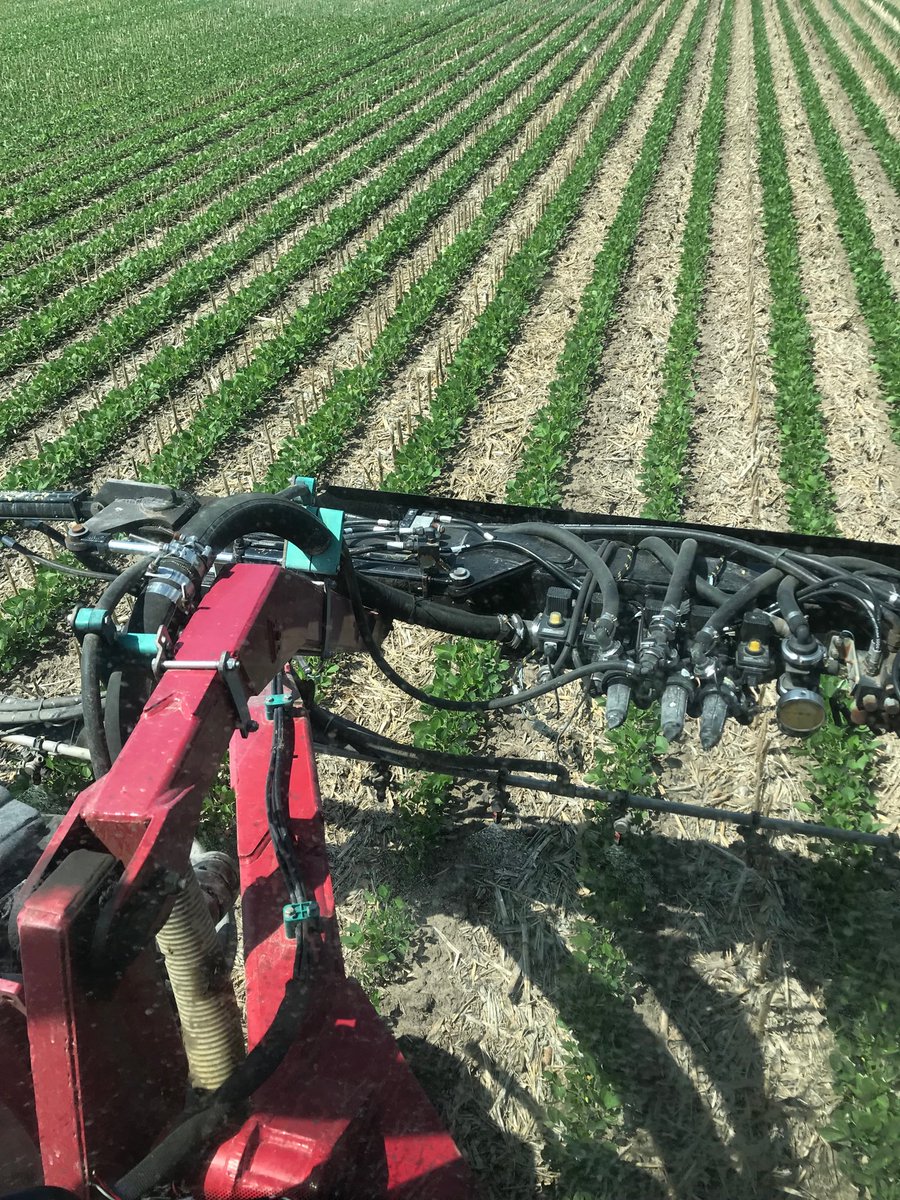 JK_Farms's tweet photo. Envive sprayed 45 days ago still clean even without watering with the pivot #spray20 https://t.co/3xov5OS1wh