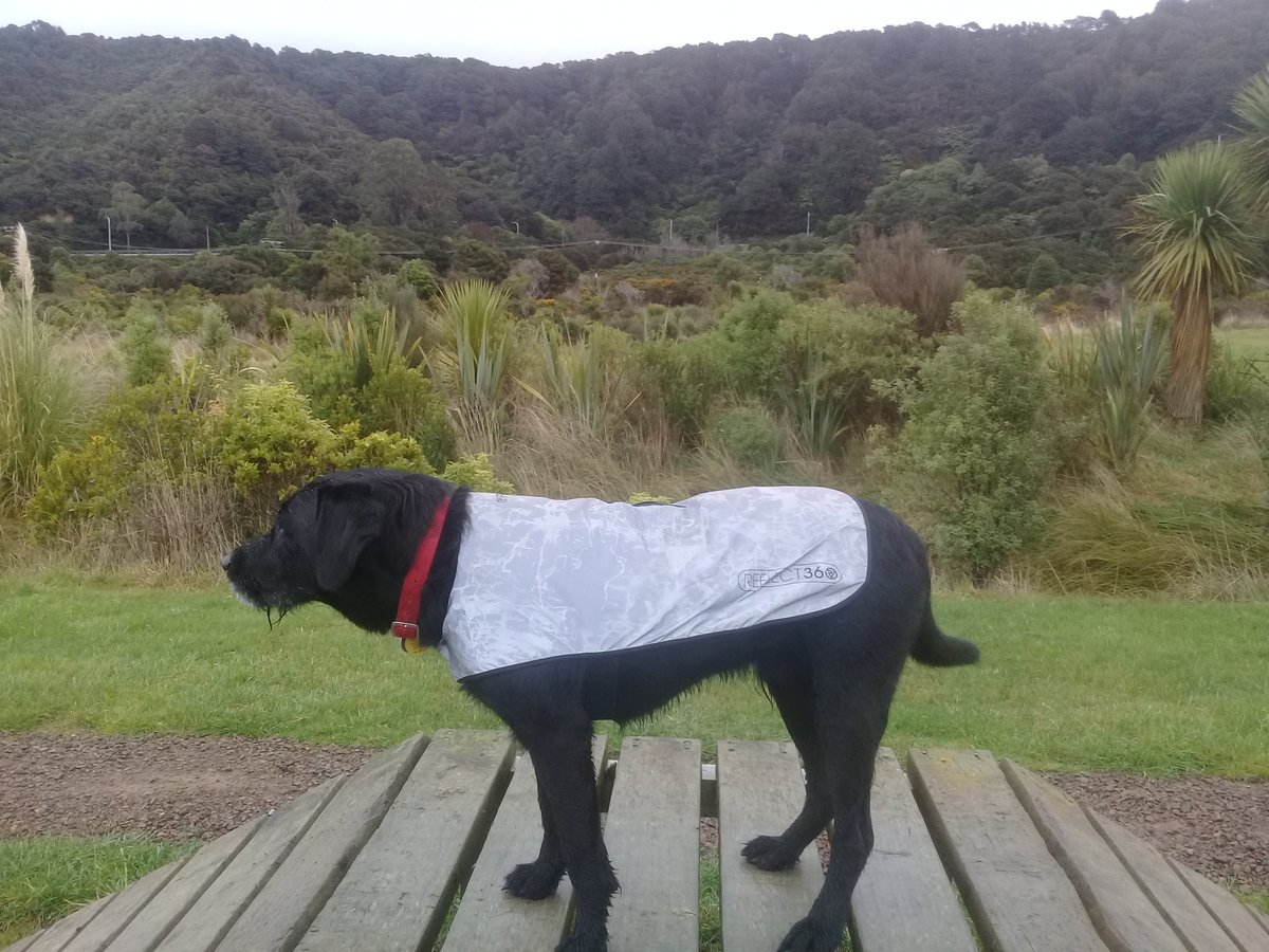 Mud Cycles tweet media