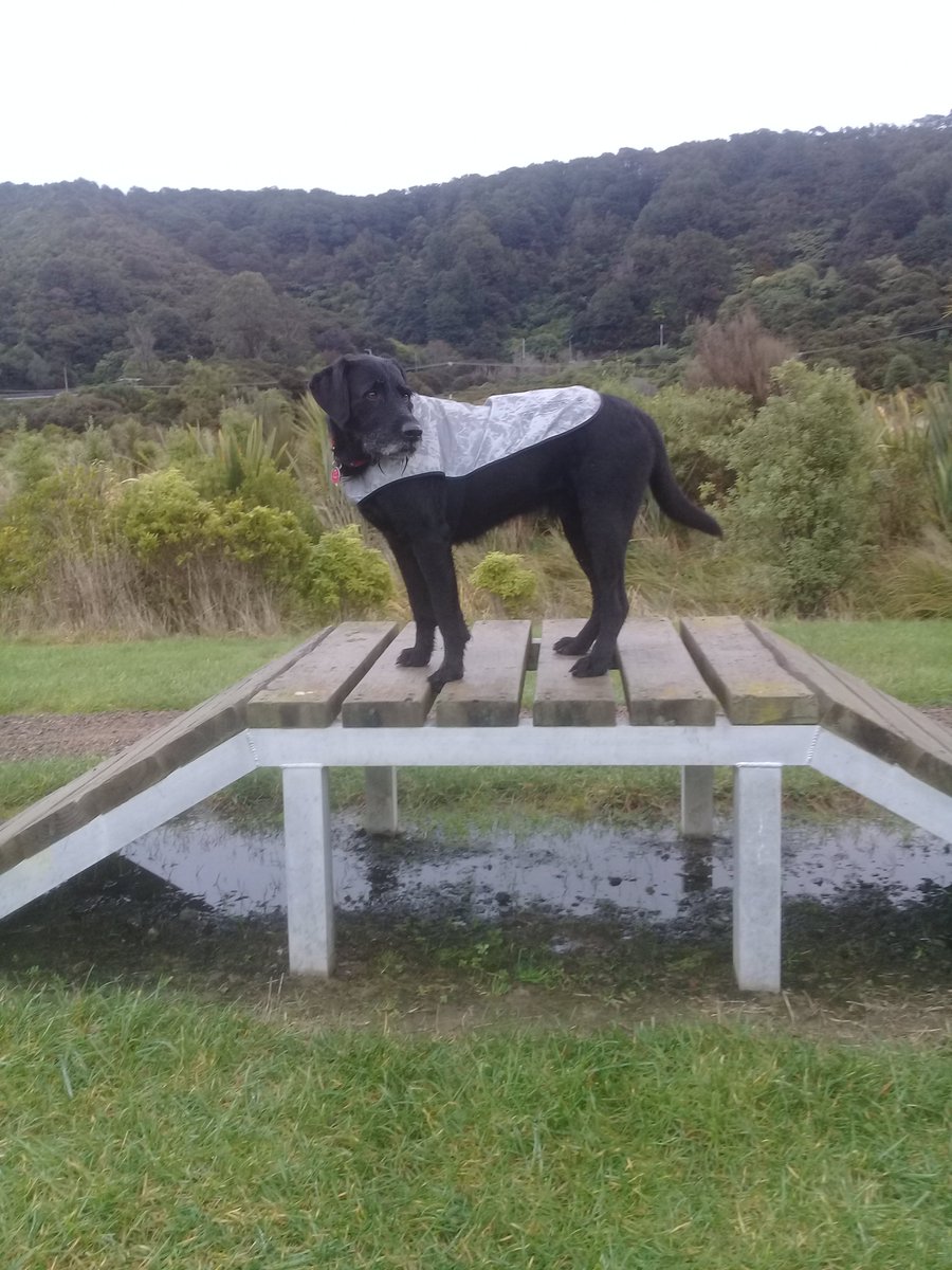 Mud Cycles tweet media