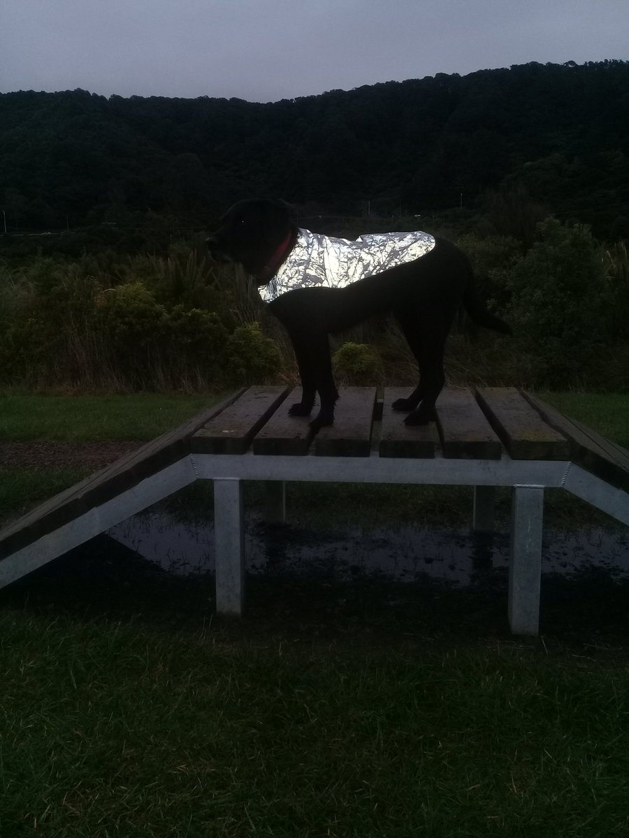 Darker &amp; damper out there @ this time of the year, is your trail dog getting harder to spot &amp; filling the house/car with that distinct "wet dog" smell?
Check out the new proviz coats for dogs!
Harness friendly &amp; the reflective coating's unreal as soon as a light hits it.