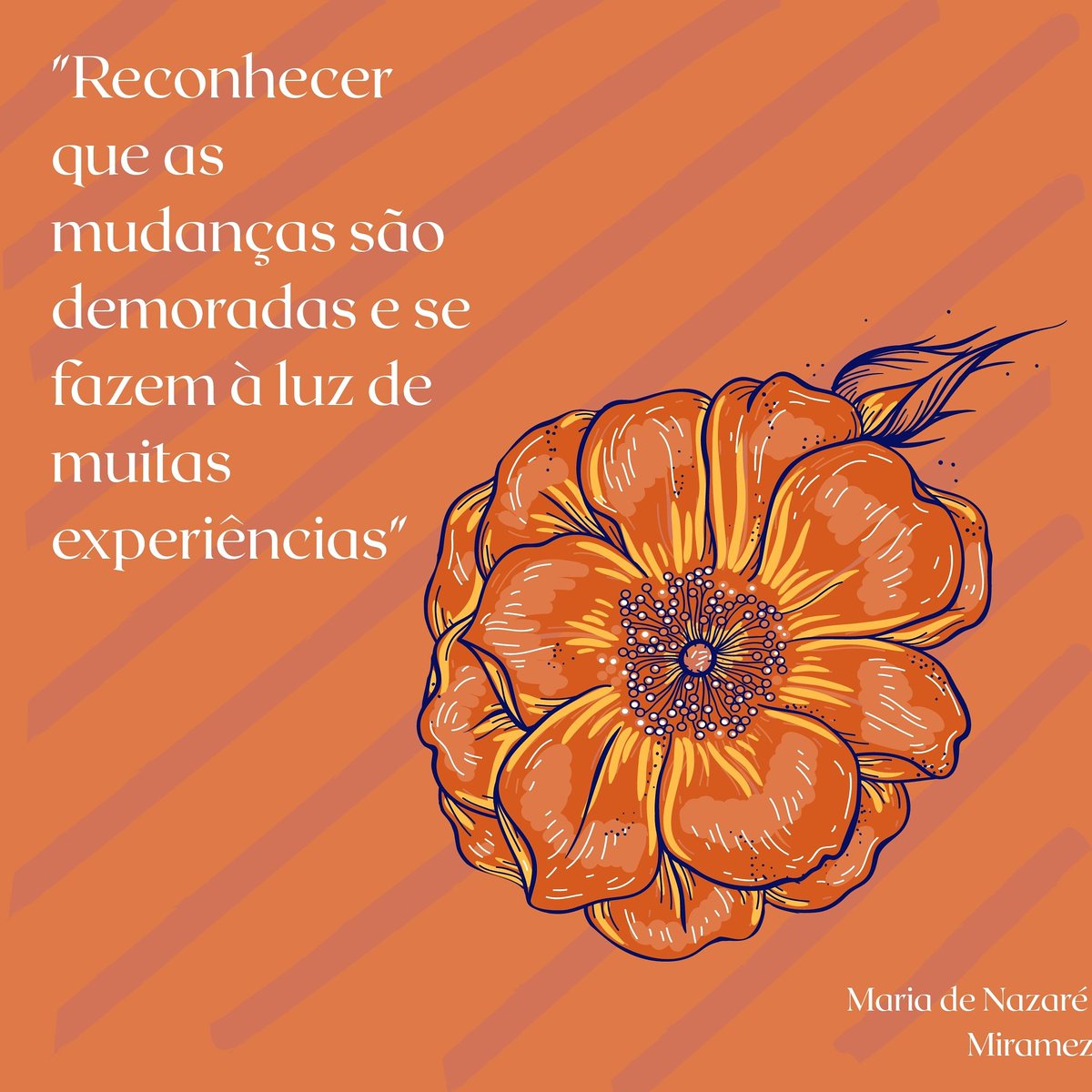 RegueiraFernand's tweet photo. https://t.co/KrbjC3oQzO