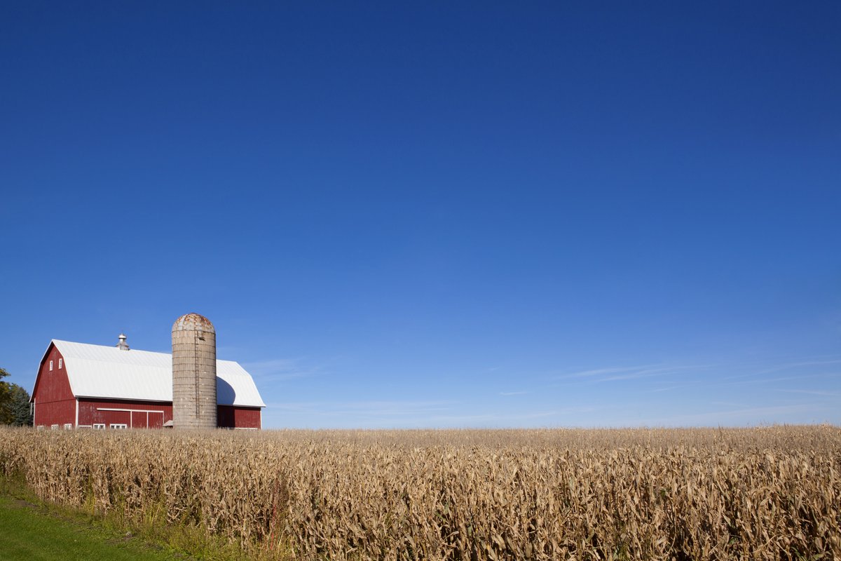 News Talk 830 WCCO (@wccoradio) on Twitter photo MN's Ag economy has struggled in recent years, with #coronavirus now to blame. What is being done to insure our food producers will survive and thrive? <a href="/bloisolson/">Blois Olson</a> hosts a Fluence Forum with key leaders Sunday at 11am with <a href="/CompeerFinance/">Compeer Financial</a>. Listen on WCCO or <a href="/Radiodotcom/">RADIO.COM</a> app! MN's Ag economy has struggled in recent years, with #coronavirus now to blame. What is being done to insure our food producers will survive and thrive? <a href="/bloisolson/">Blois Olson</a> hosts a Fluence Forum with key leaders Sunday at 11am with <a href="/CompeerFinance/">Compeer Financial</a>. Listen on WCCO or <a href="/Radiodotcom/">RADIO.COM</a> app!